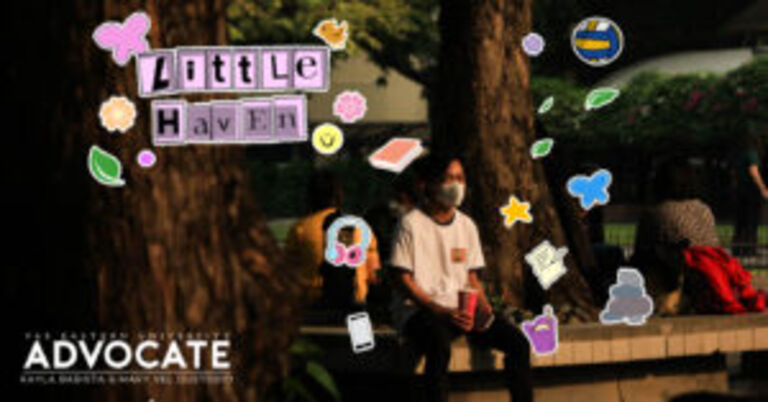 Little Haven